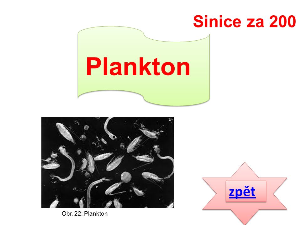 zpět Plankton Sinice za 200 Obr. 22: Plankton