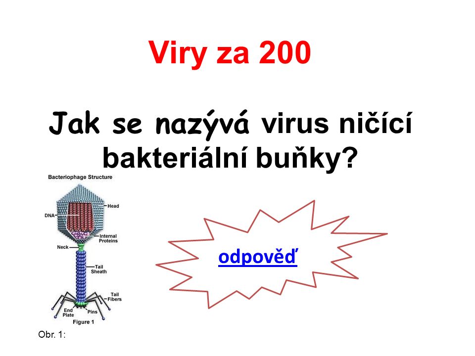 Viry za 200 Jak se nazývá virus ničící bakteriální buňky odpověď Obr. 1: