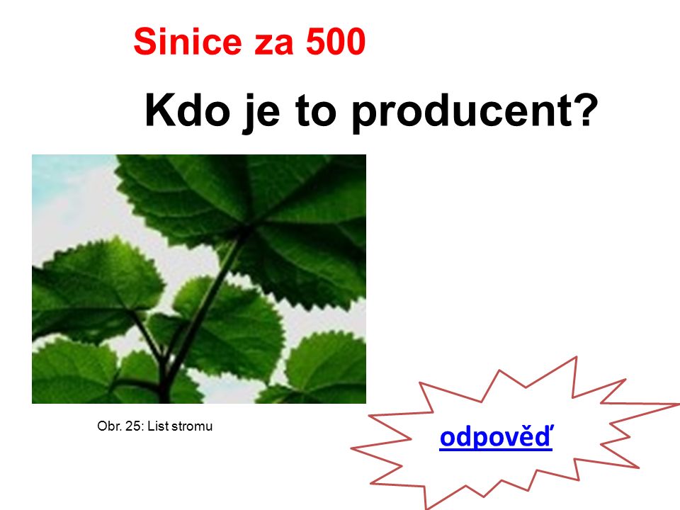 odpověď Sinice za 500 Kdo je to producent Obr. 25: List stromu