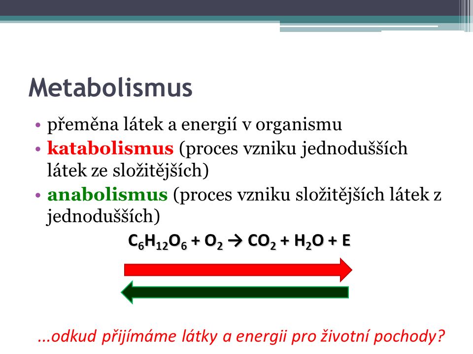 Metabolismus přeměna látek a energií v organismu katabolismus (proces vzniku jednodušších látek ze složitějších) anabolismus (proces vzniku složitějších látek z jednodušších) C 6 H 12 O 6 + O 2 → CO 2 + H 2 O + E...odkud přijímáme látky a energii pro životní pochody