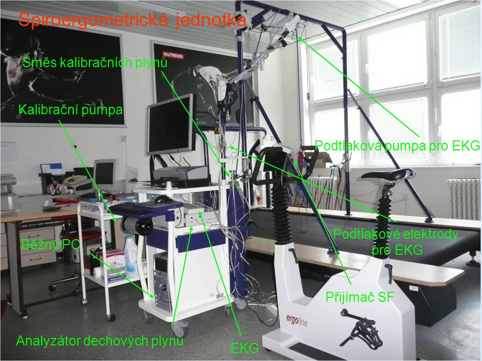 Běžný PC Kalibrační pumpa Spiroergometrická jednotka Analyzátor dechových plynů EKG Podtlaková pumpa pro EKG Směs kalibračních plynů Přijímač SF Podtlakové elektrody pro EKG