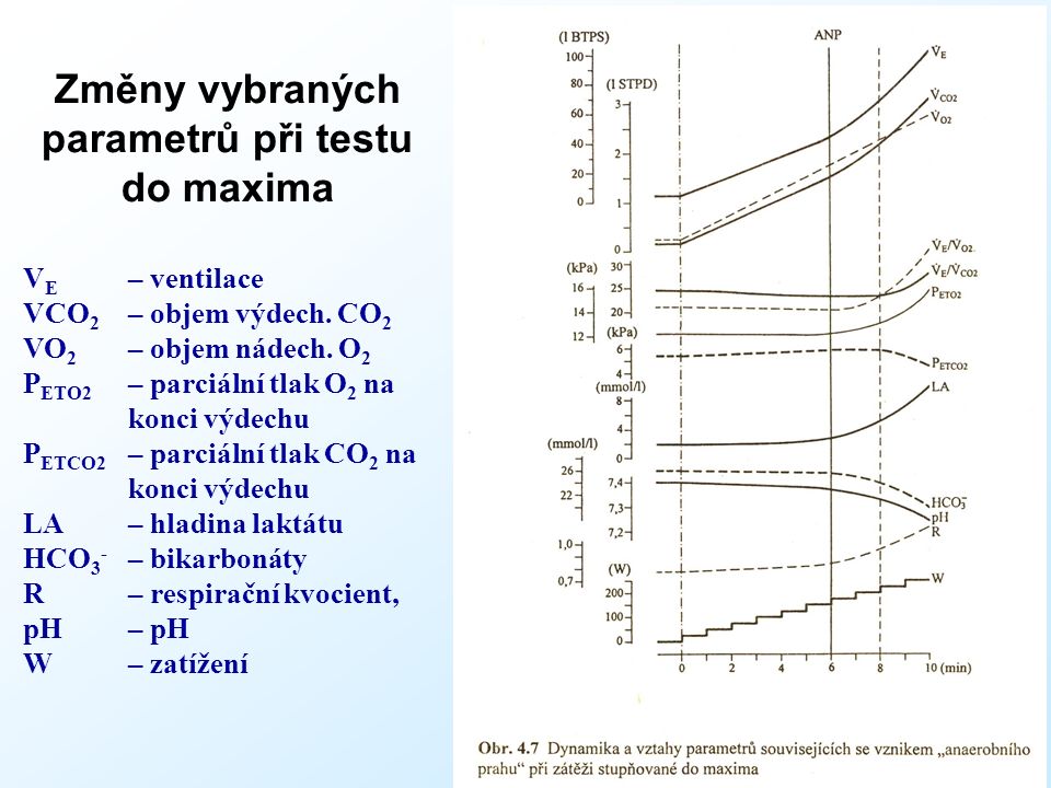 Změny vybraných parametrů při testu do maxima * V E – ventilace VCO 2 – objem výdech.
