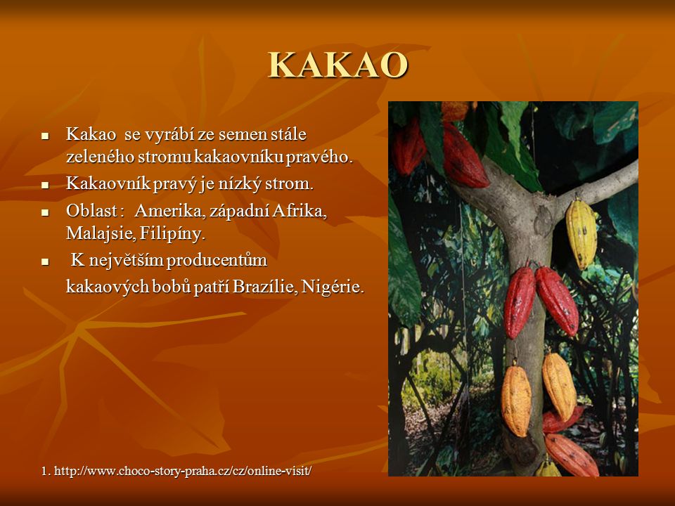 KAKAO Kakao se vyrábí ze semen stále zeleného stromu kakaovníku pravého.