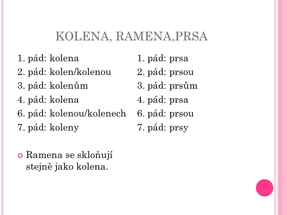 KOLENA, RAMENA,PRSA 1. pád: kolena 2. pád: kolen/kolenou 3.