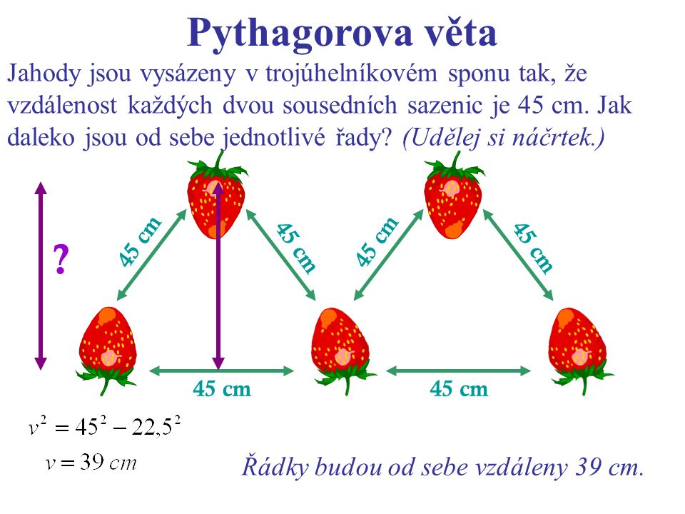 Pythagorova věta Jahody jsou vysázeny v trojúhelníkovém sponu tak, že vzdálenost každých dvou sousedních sazenic je 45 cm.