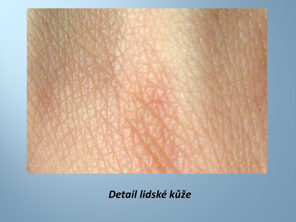 Detail lidské kůže