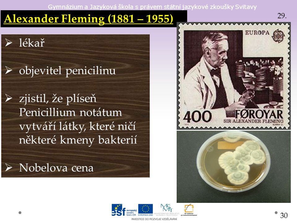 Gymnázium a Jazyková škola s právem státní jazykové zkoušky Svitavy Alexander Fleming (1881 – 1955)  lékař  objevitel penicilinu  zjistil, že plíseň Penicillium notátum vytváří látky, které ničí některé kmeny bakterií  Nobelova cena 29.