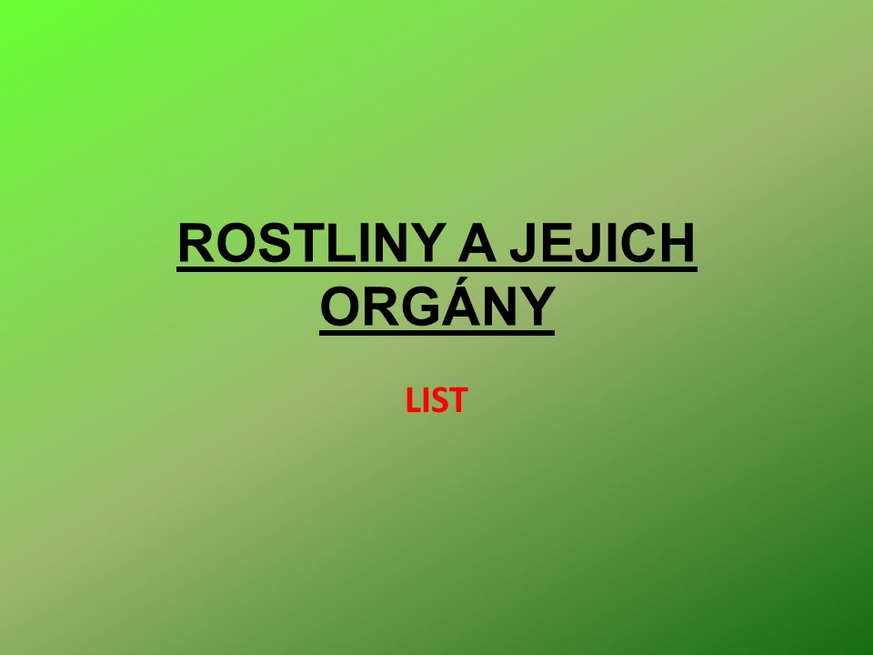 ROSTLINY A JEJICH ORGÁNY LIST