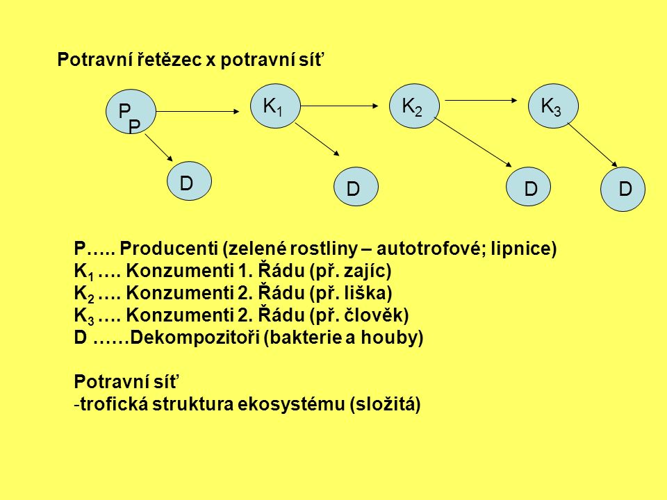 datování alys perez epilog 2. část