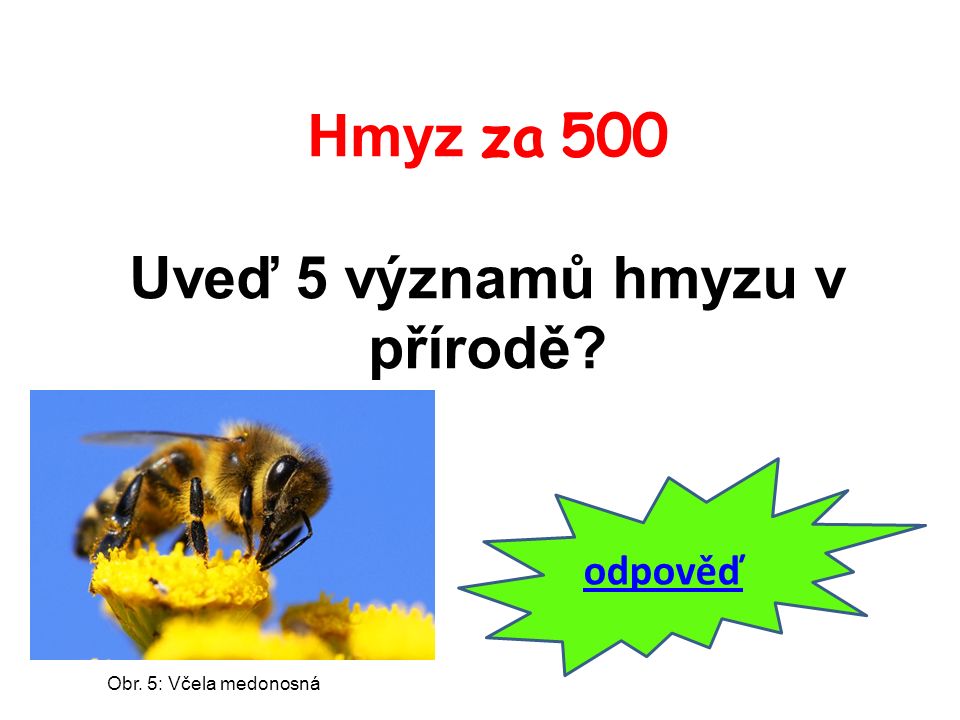 Hmyz za 500 Uveď 5 významů hmyzu v přírodě odpověď Obr. 5: Včela medonosná