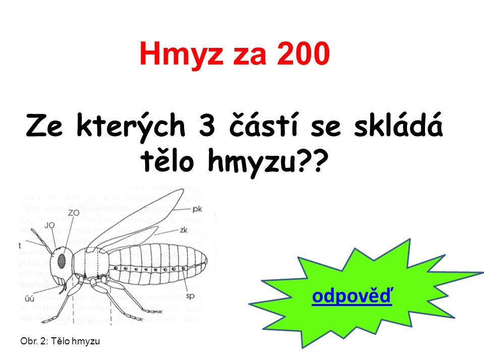 Hmyz za 200 Ze kterých 3 částí se skládá tělo hmyzu odpověď Obr. 2: Tělo hmyzu