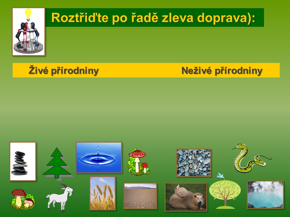 Roztřiďte po řadě zleva doprava): Roztřiďte po řadě zleva doprava): Živé přírodniny Neživé přírodniny Živé přírodniny Neživé přírodniny