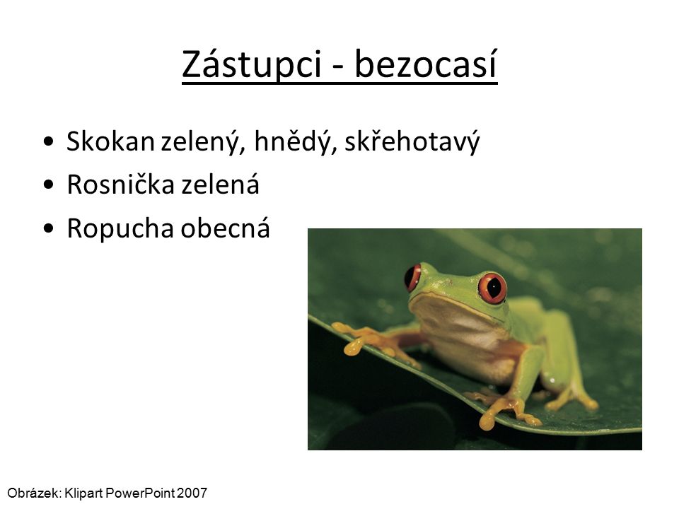 Zástupci - bezocasí Skokan zelený, hnědý, skřehotavý Rosnička zelená Ropucha obecná Obrázek: Klipart PowerPoint 2007