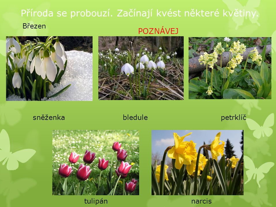 Jaro je jedno ze čtyř ročních období. Začíná 21. března.