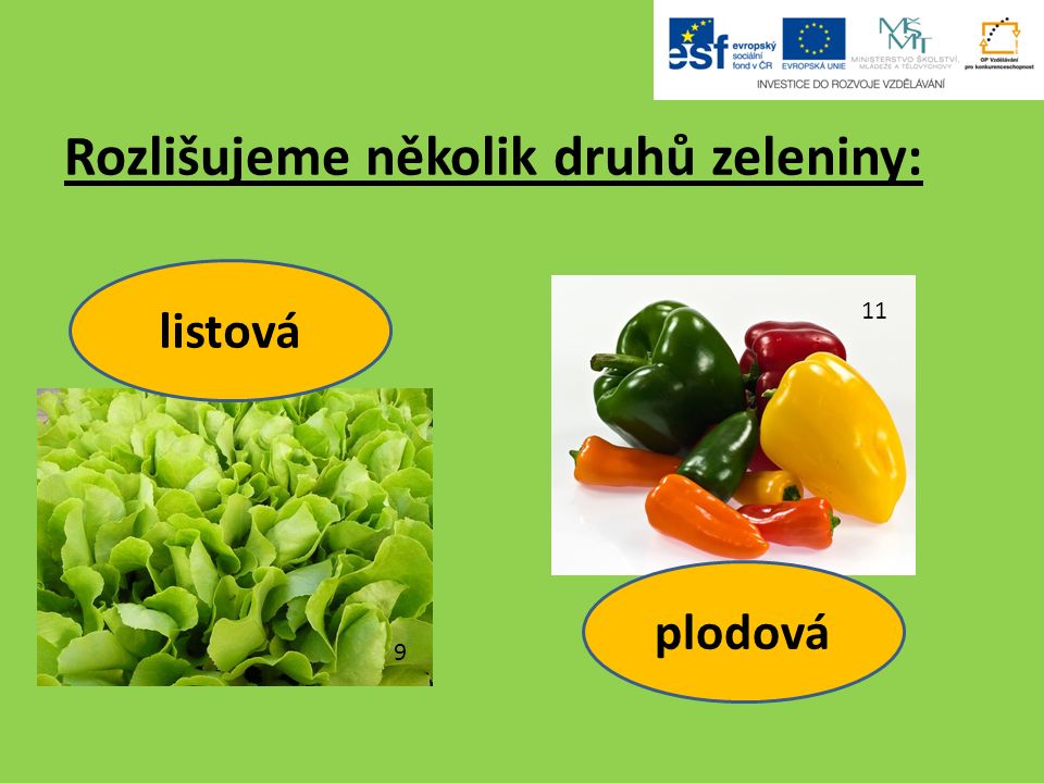 Rozlišujeme několik druhů zeleniny: 9 listová 11 plodová