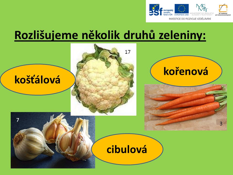 Rozlišujeme několik druhů zeleniny: 3 kořenová 7 17 košťálová cibulová