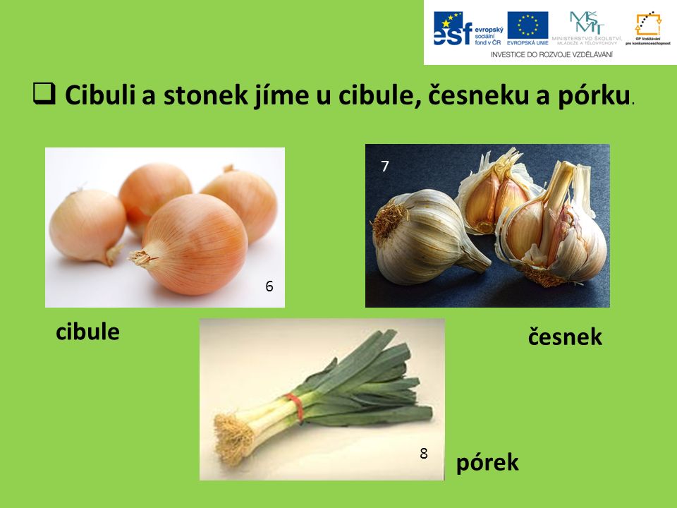  Cibuli a stonek jíme u cibule, česneku a pórku cibule pórek česnek