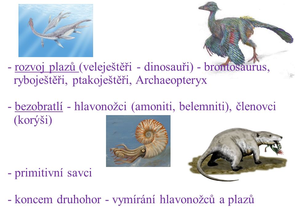 - rozvoj plazů (veleještěři - dinosauři) - brontosaurus, ryboještěři, ptakoještěři, Archaeopteryx - bezobratlí - hlavonožci (amoniti, belemniti), členovci (korýši) - primitivní savci - koncem druhohor - vymírání hlavonožců a plazů