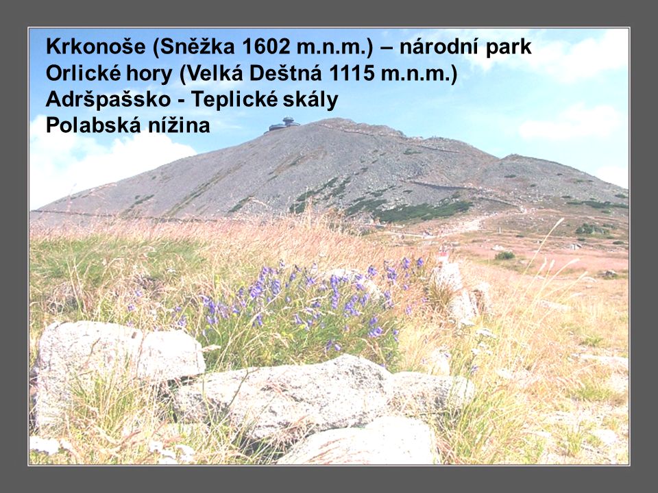 Povrch Krkonoše (Sněžka 1602 m.n.m.) – národní park Orlické hory (Velká Deštná 1115 m.n.m.) Adršpašsko - Teplické skály Polabská nížina