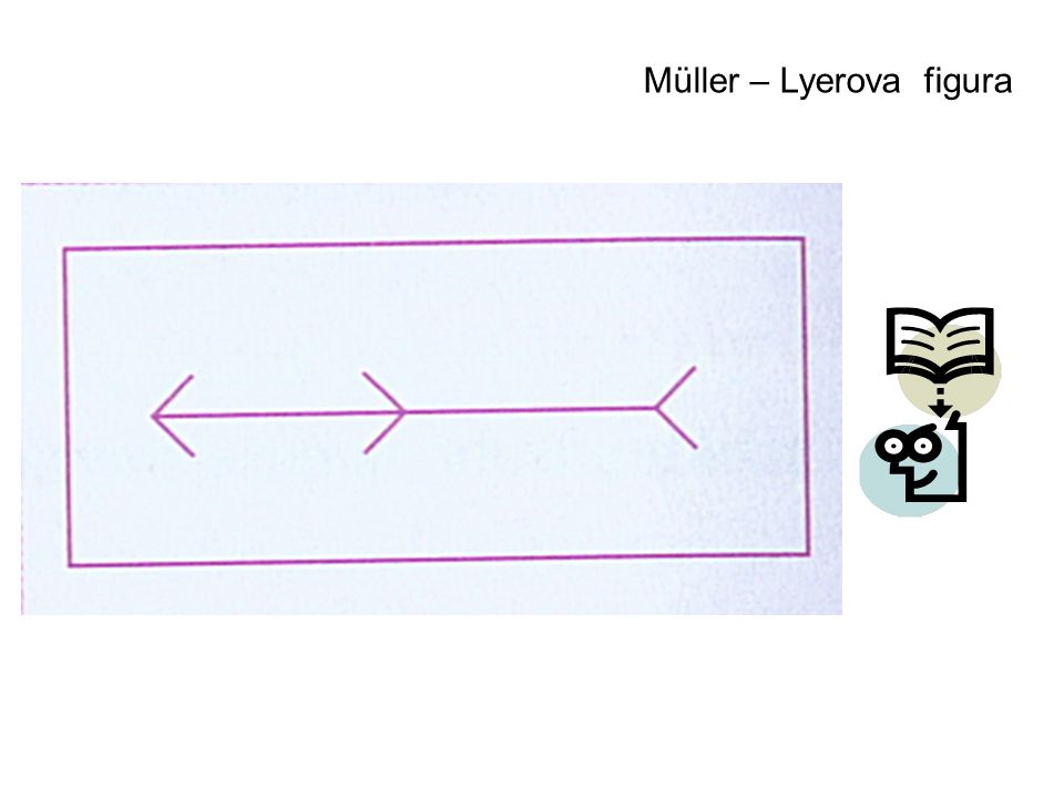 Müller – Lyerova figura
