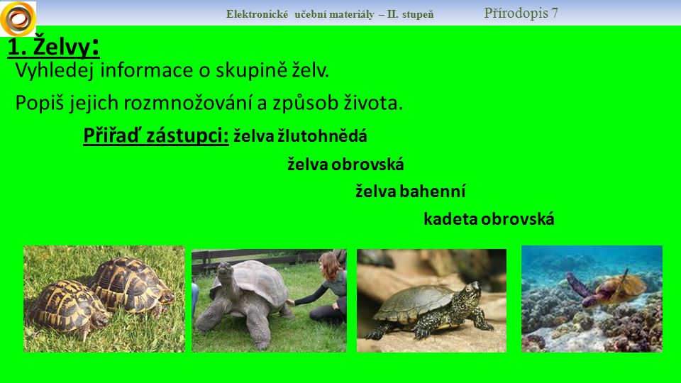 1. Želvy : Vyhledej informace o skupině želv. Popiš jejich rozmnožování a způsob života.