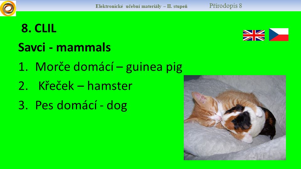 8. CLIL Savci - mammals 1.Morče domácí – guinea pig 2.
