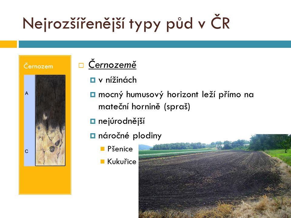 Nejrozšířenější typy půd v ČR Černozem  Černozemě  v nížinách  mocný humusový horizont leží přímo na mateční hornině (spraš)  nejúrodnější  náročné plodiny Pšenice Kukuřice