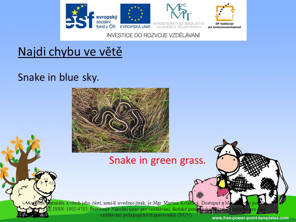 Najdi chybu ve větě Snake in blue sky. Snake in green grass.