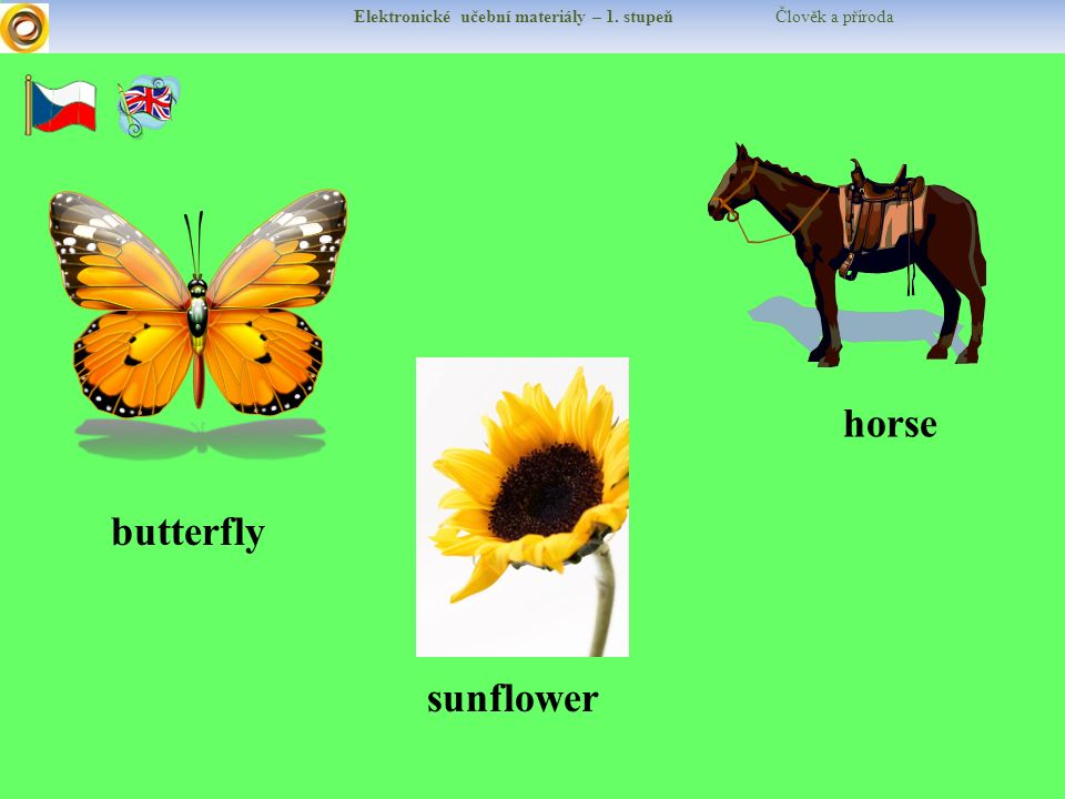 Elektronické učební materiály – 1. stupeň Člověk a příroda butterfly horse sunflower