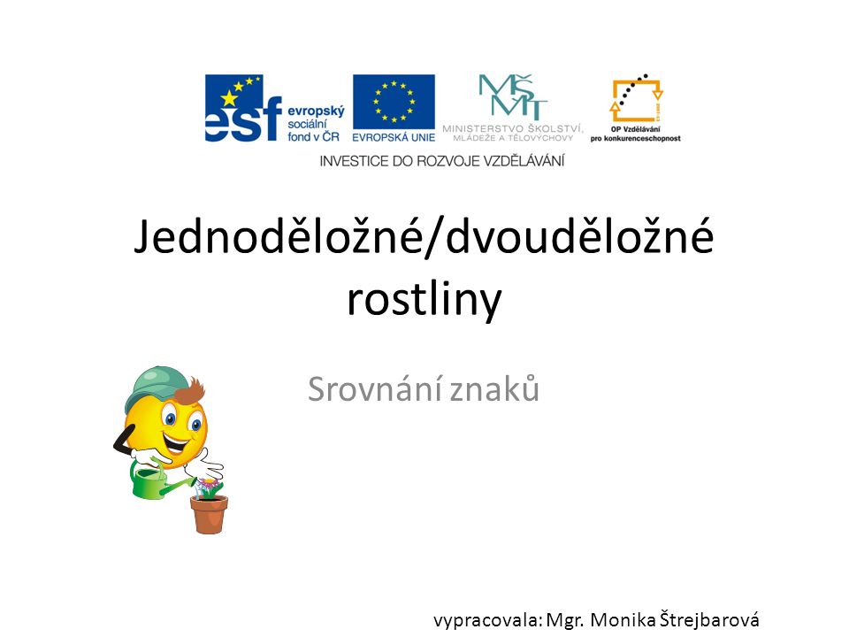 Jednoděložné/dvouděložné rostliny Srovnání znaků vypracovala: Mgr. Monika Štrejbarová