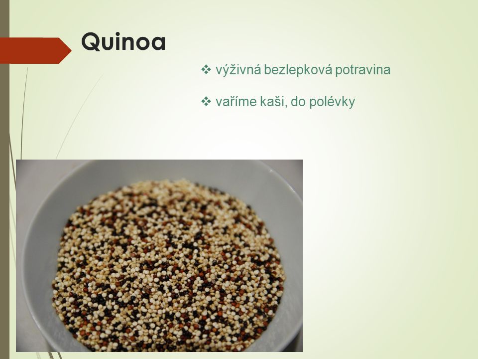 Quinoa  výživná bezlepková potravina  vaříme kaši, do polévky