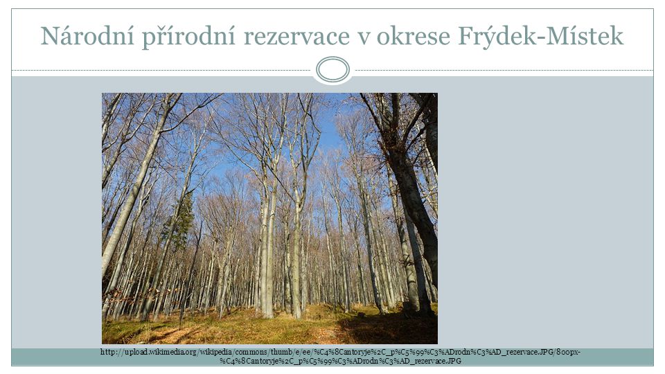 Národní přírodní rezervace v okrese Frýdek-Místek   %C4%8Cantoryje%2C_p%C5%99%C3%ADrodn%C3%AD_rezervace.JPG