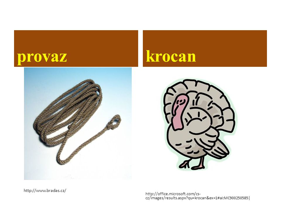 provazkrocan   cz/images/results.aspx qu=krocan&ex=1#ai:MC |