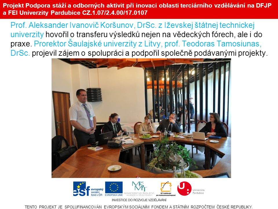 Projekt Podpora stáží a odborných aktivit při inovaci oblasti terciárního vzdělávání na DFJP a FEI Univerzity Pardubice CZ.1.07/2.4.00/ Prof.