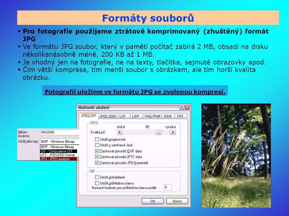 Formáty souborů  Pro fotografie použijeme ztrátově komprimovaný (zhuštěný) formát JPG  Ve formátu JPG soubor, který v paměti počítač zabírá 2 MB, obsadí na disku několikanásobně méně, 200 KB až 1 MB.
