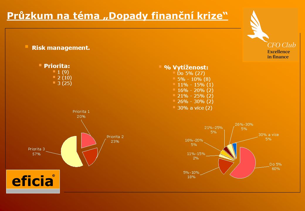Průzkum na téma „Dopady finanční krize  Risk management.
