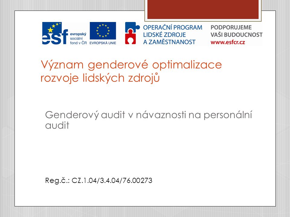 Význam genderové optimalizace rozvoje lidských zdrojů Genderový audit v návaznosti na personální audit Reg.č.: CZ.1.04/3.4.04/