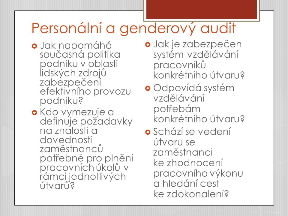 Personální a genderový audit  Jak napomáhá současná politika podniku v oblasti lidských zdrojů zabezpečení efektivního provozu podniku.