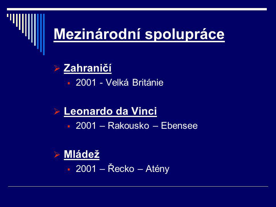 Mezinárodní spolupráce  Zahraničí  Velká Británie  Leonardo da Vinci  2001 – Rakousko – Ebensee  Mládež  2001 – Řecko – Atény