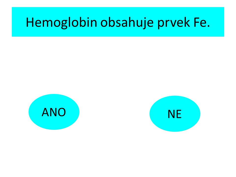 Hemoglobin obsahuje prvek Fe. ANO NE