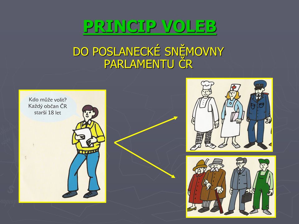 PRINCIP VOLEB DO POSLANECKÉ SNĚMOVNY PARLAMENTU ČR