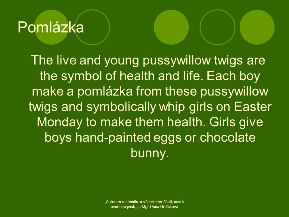 Pomlázka The live and young pussywillow twigs are the symbol of health and life.