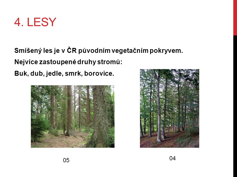 4. LESY Smíšený les je v ČR původním vegetačním pokryvem.