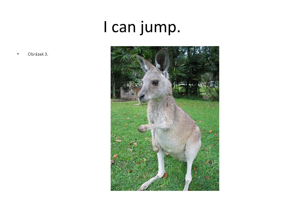 I can jump. Obrázek 3.
