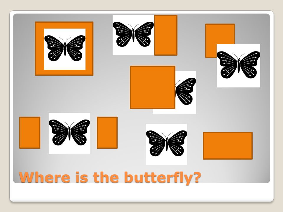 Where is the butterfly