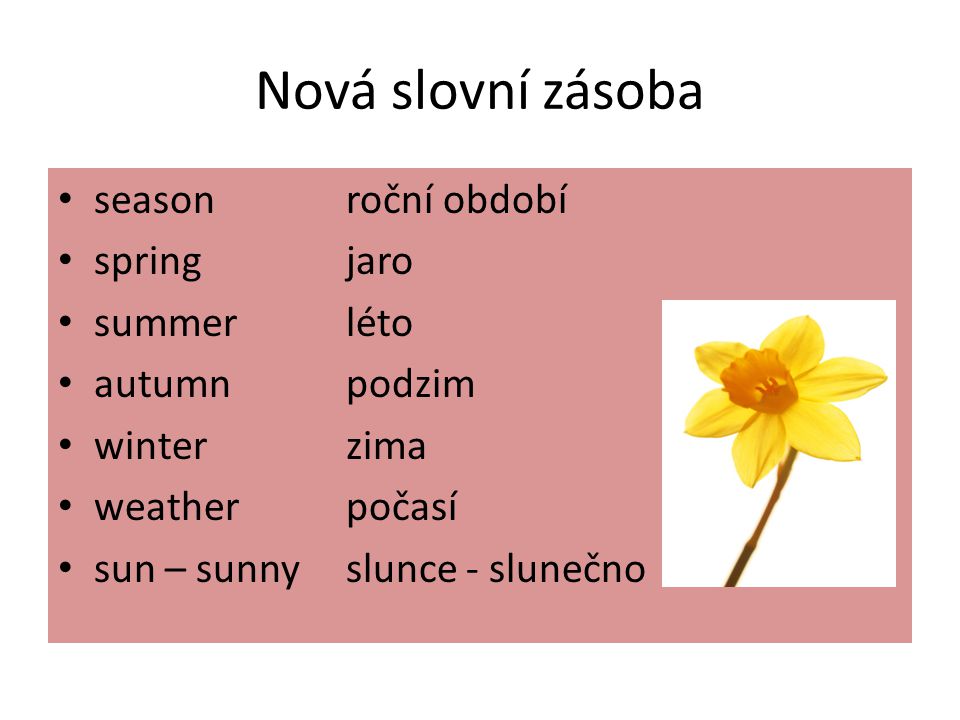 Nová slovní zásoba seasonroční období springjaro summerléto autumnpodzim winterzima weatherpočasí sun – sunnyslunce - slunečno