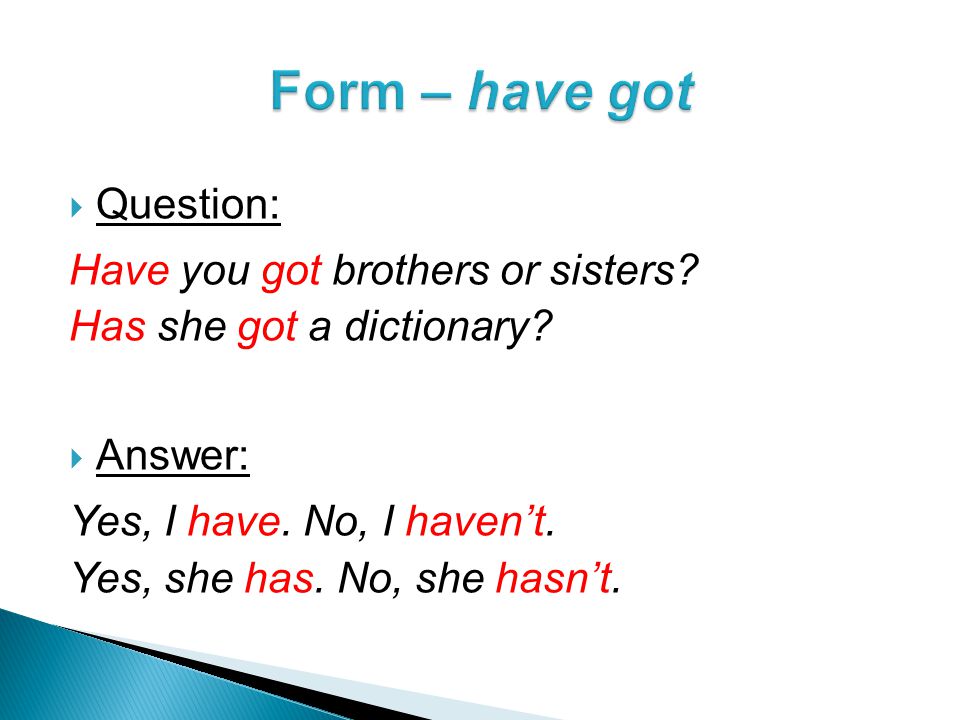  Question: Have you got brothers or sisters. Has she got a dictionary.