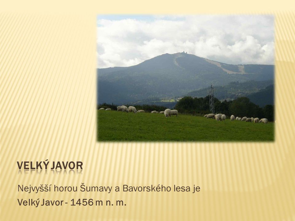 Nejvyšší horou Šumavy a Bavorského lesa je Velký Javor m n. m.