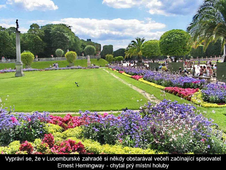Lucemburská zahrada je nejoblíbenější pařížský park - zelený ráj Paříže.