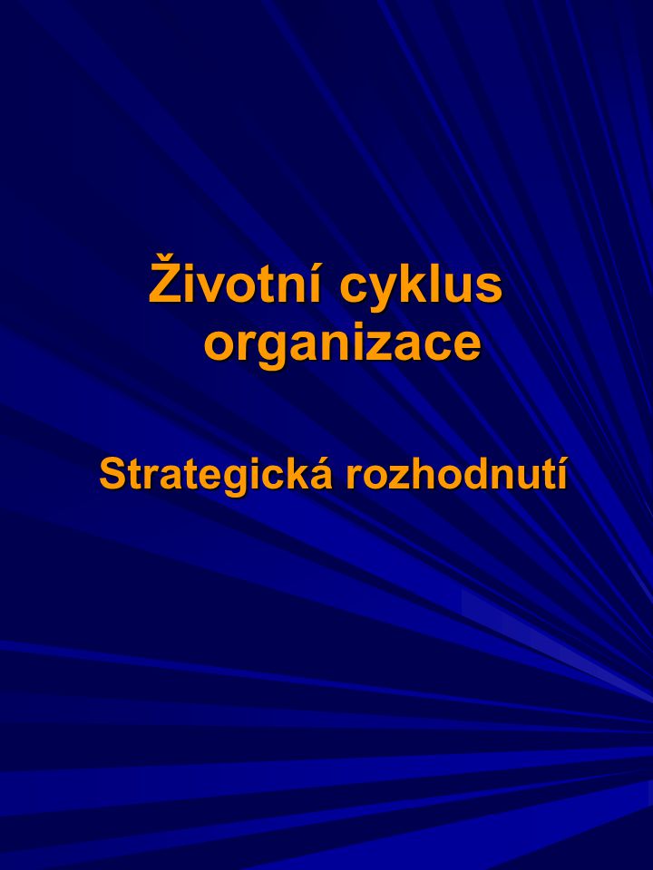 Životní cyklus organizace Strategická rozhodnutí Strategická rozhodnutí